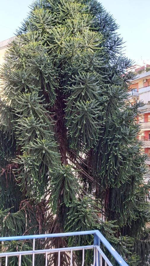 La Casa Del Cedro Apartment Napoli Bagian luar foto